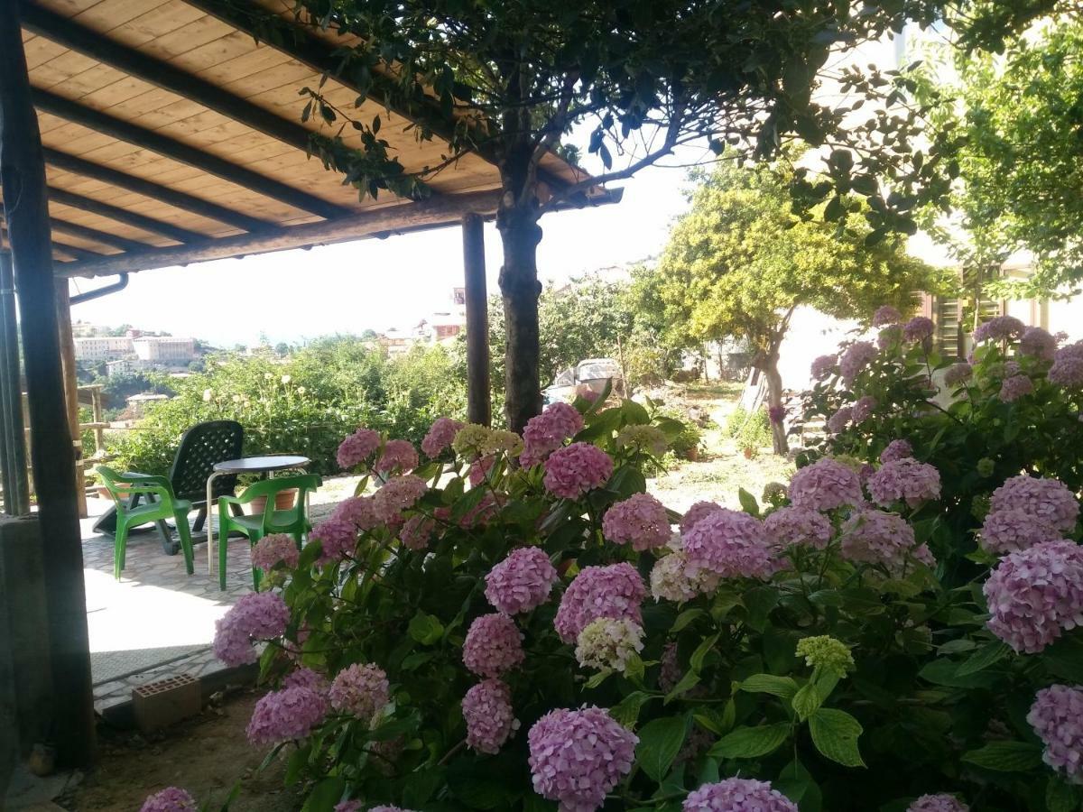 Aritzo Appartamento Romantico 외부 사진